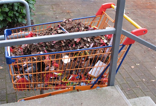 Einkaufswagen_(c)_Kay_Sokolowsky