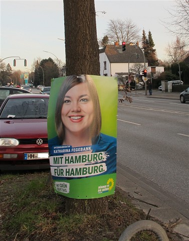 Katharina_Fegebank_Wahlplakat_2015_(c)_Kay_Sokolowsky