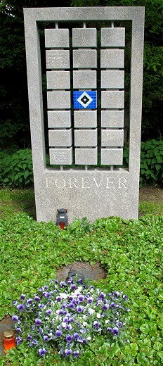 HSV_forever_(c)_Kay_Sokolowsky