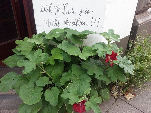 Graffito_Abreissen_(c)_Eberhard_Kehrer