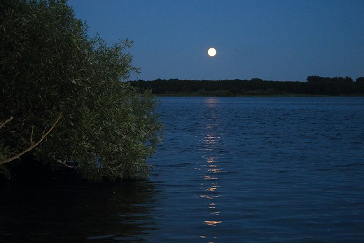 Der_Mond_(c)_Martina_Sokolowsky